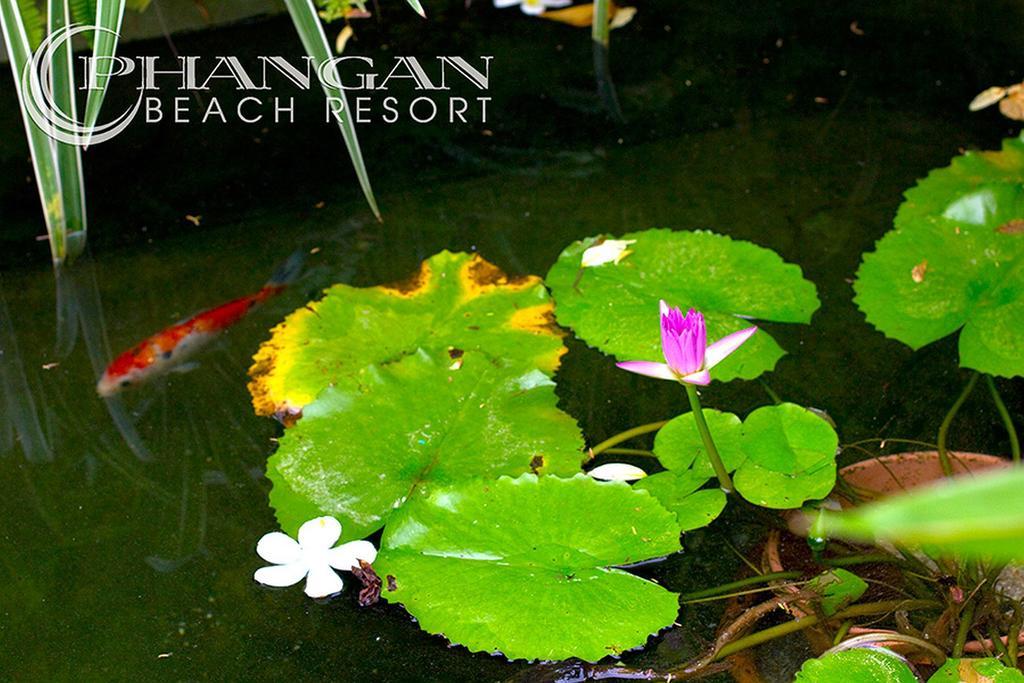 Phangan Beach Resort Баан-Тай Екстер'єр фото